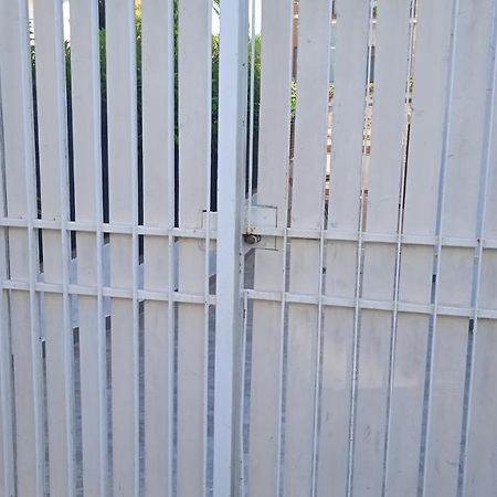 Casetta Con Giardino Villa Santa Marinella Exterior foto